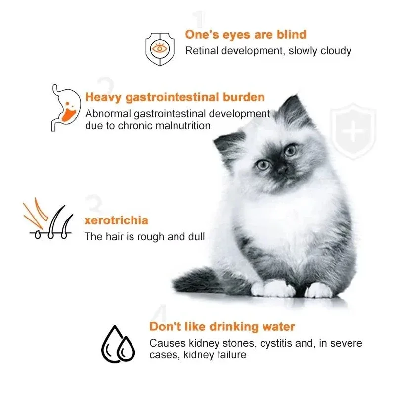 10 pçs tiras de gato lanches p - Food Snacks Label avaliação e preço