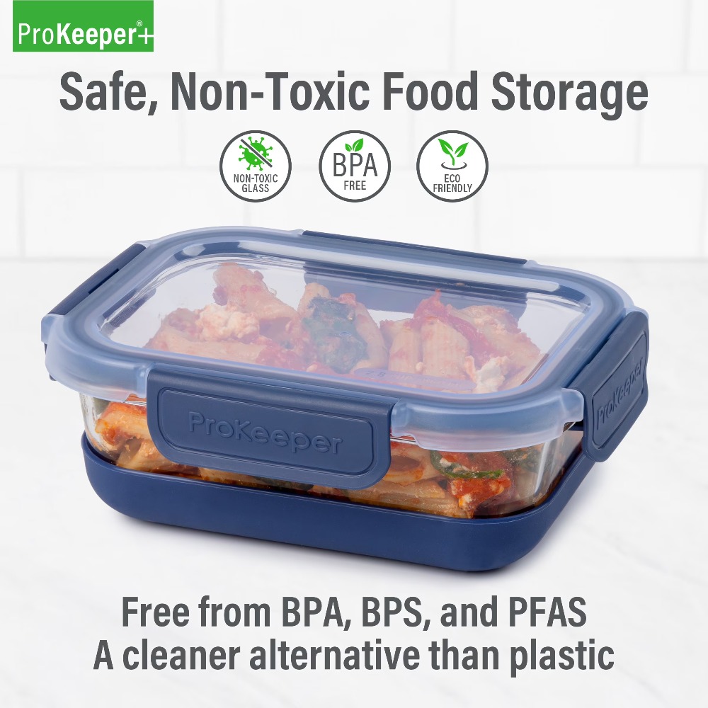 Recipiente de Vidro para Armaz - Food Snacks Box avaliação e preço